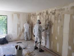 Best Mold Damage Restoration  in Carlinvle, IL